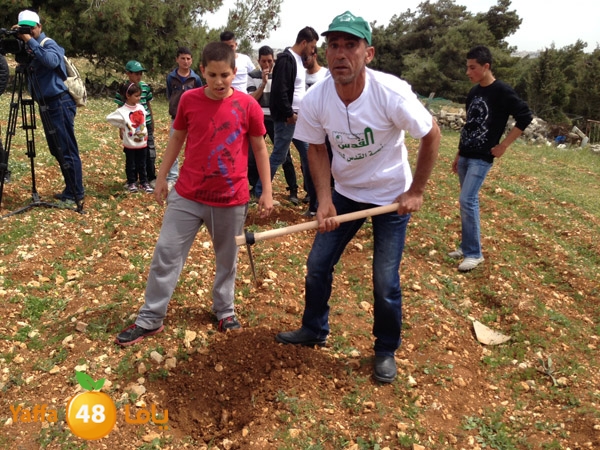 ludandyaffazaitoon (4).JPG